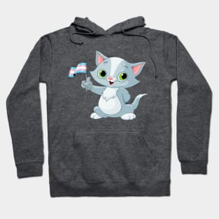 Cat Holding Transgender Flag Hoodie